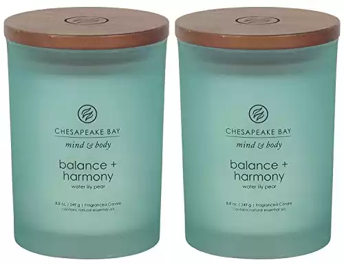Chesapeake Bay Candle Scented Candles